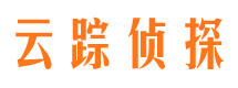 大观市私家侦探